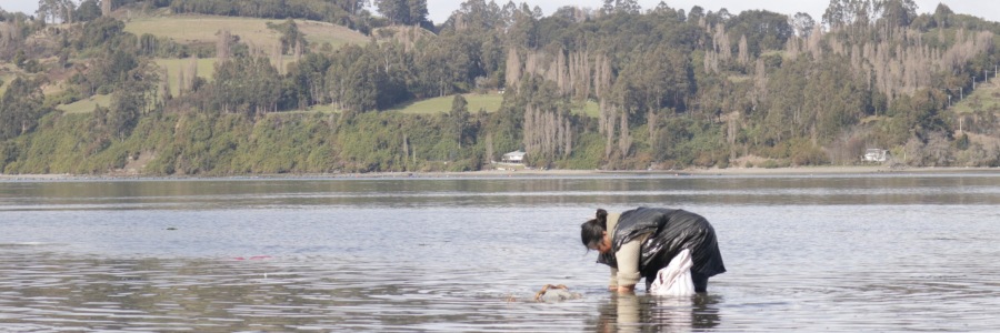 images/noticias/tlab-sept.jpg#joomlaImage://local-images/noticias/tlab-sept.jpg?width=900&height=300